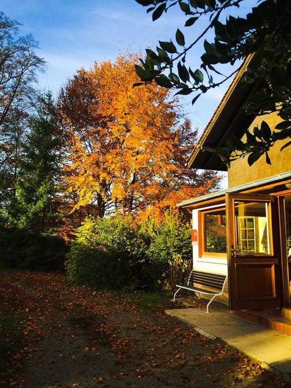Le Chalet Luttenbach-près-Munster 외부 사진