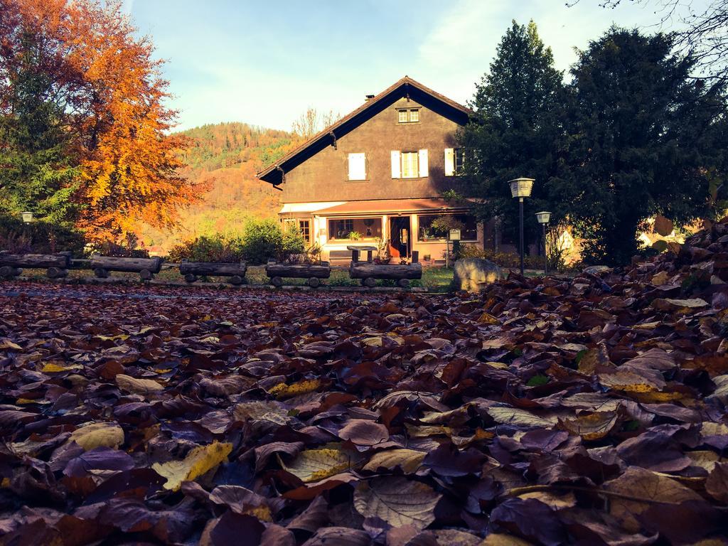 Le Chalet Luttenbach-près-Munster 외부 사진