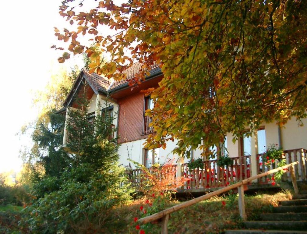 Le Chalet Luttenbach-près-Munster 외부 사진