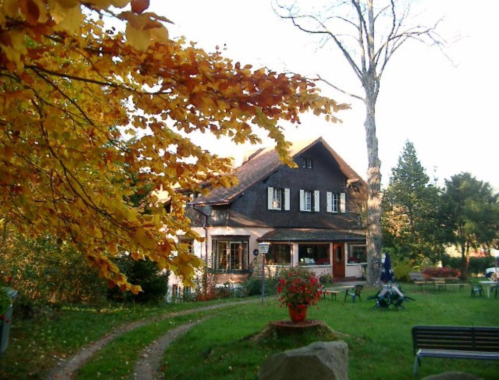 Le Chalet Luttenbach-près-Munster 외부 사진