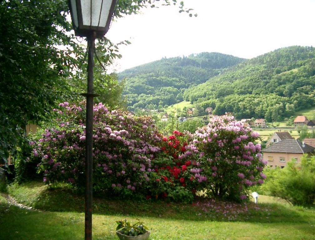Le Chalet Luttenbach-près-Munster 외부 사진